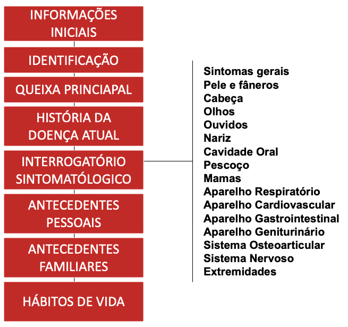 O que é anamnese farmacêutica e quais são as etapas?