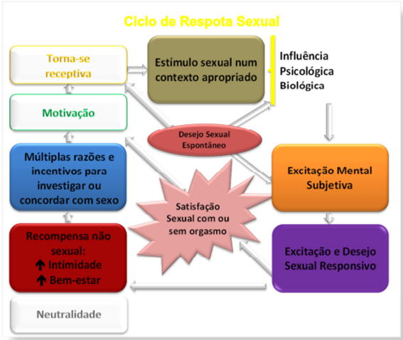 A IMPORTÂNCIA DA ANAMNESE NA CLÍNICA MÉDICA – RELATO DE EXPERIÊNCIA – ISSN  1678-0817 Qualis B2