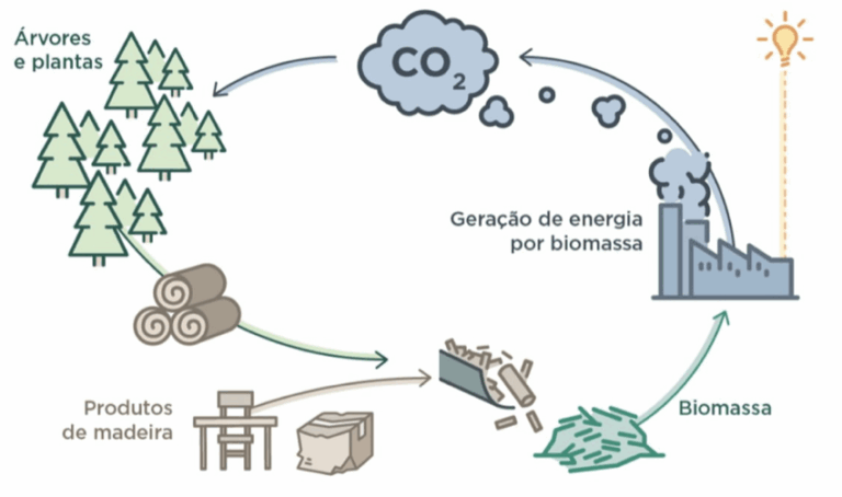 FONTES RENOVÁVEIS DE ENERGIA: CONTRIBUIÇÕES DA BIOMASSA PARA A REDUÇÃO ...
